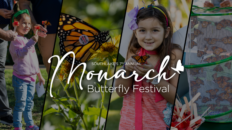 Monarch Butterfly Festival 2025 – Northeast News